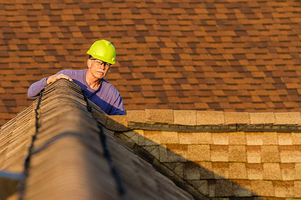 Best Roof Gutter Cleaning  in Tenaha, TX